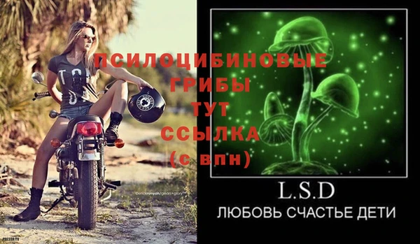 амф Осташков