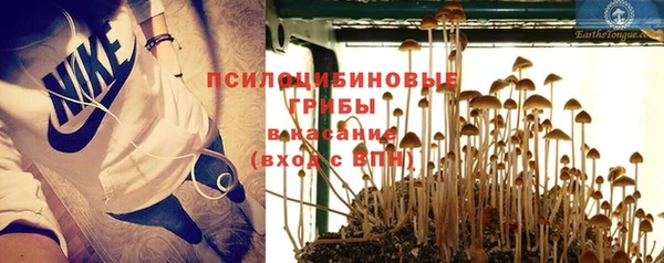амфетамин Алексин