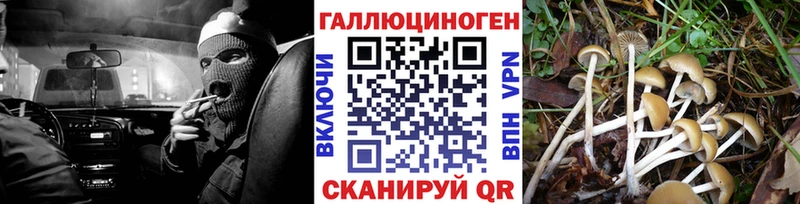 где можно купить Октябрьск Псилоцибиновые грибы мухоморы